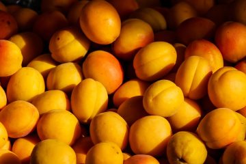 agriculture apricot color confection
