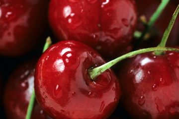 close up photo of a cherry fruits