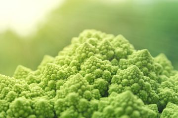 tilt lens photo of green cauliflower