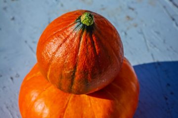 flashy pumpkin