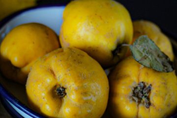yellow quinces in bowl