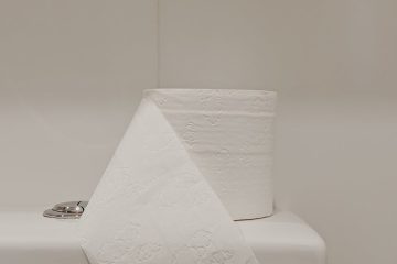 white toilet paper roll on ceramic toilet