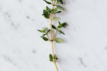 thyme on marble surface