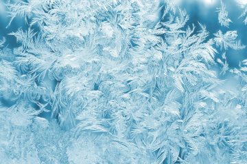 white feathers illustration