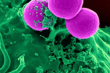 pink sphere splashed by green liquid