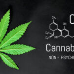 Pourquoi devriez-vous acheter du cannabidiol légal sur le marché ?